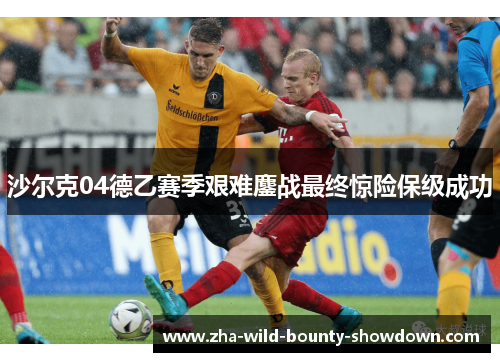 沙尔克04德乙赛季艰难鏖战最终惊险保级成功