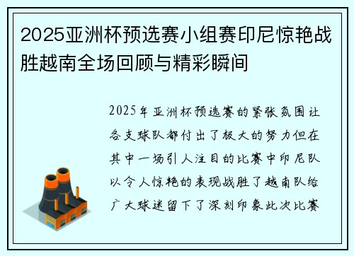2025亚洲杯预选赛小组赛印尼惊艳战胜越南全场回顾与精彩瞬间