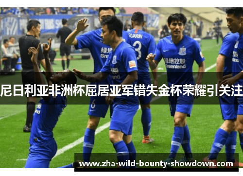 尼日利亚非洲杯屈居亚军错失金杯荣耀引关注