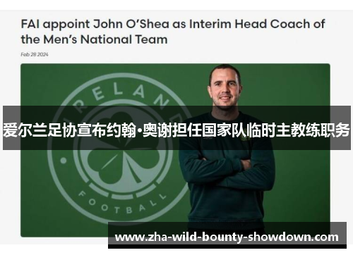 爱尔兰足协宣布约翰·奥谢担任国家队临时主教练职务
