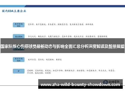 国家队核心伤停球员最新动态与影响全面汇总分析深度解读及前景展望