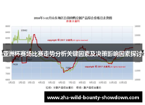 亚洲杯赛场比赛走势分析关键因素及决策影响因素探讨 亚洲杯赛场比赛走势分析关键因素及决策影响因素探讨